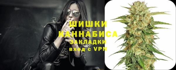 PSILOCYBIN Балабаново