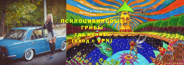 PSILOCYBIN Балабаново