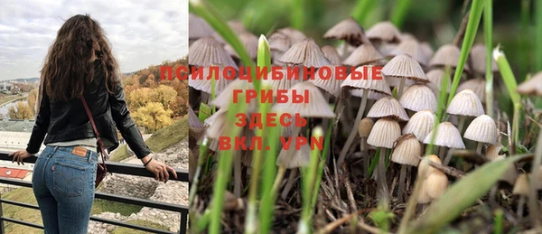 PSILOCYBIN Балабаново
